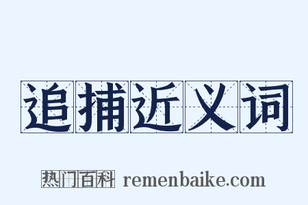 追捕近义词是什么意思的图片
